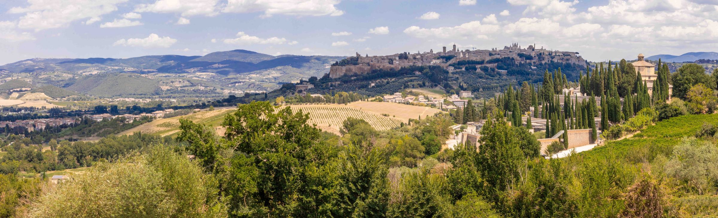 Panorama of Orvieto on its rock above the vineyards and cypress trees of Umbria